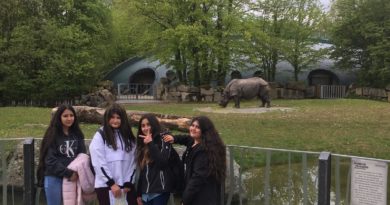 Tierpark Hellabrunn-immer wieder ein Erlebnis für die Schüler_innen der ersten Klassen Tierpark Hellabrunn-immer wieder ein Erlebnis für die Schüler_innen der ersten Klassen
