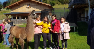 Lama Tag der 2a Klasse Lama Tag der 2a Klasse