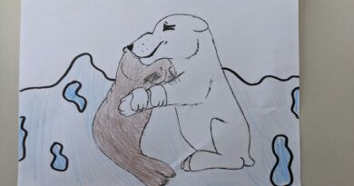 #saveourplanet #saveourplanet